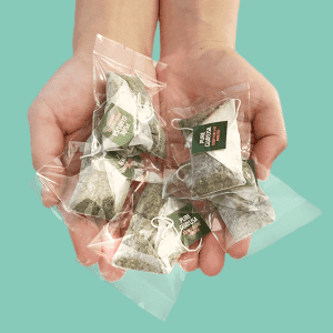 guayusa tea samples